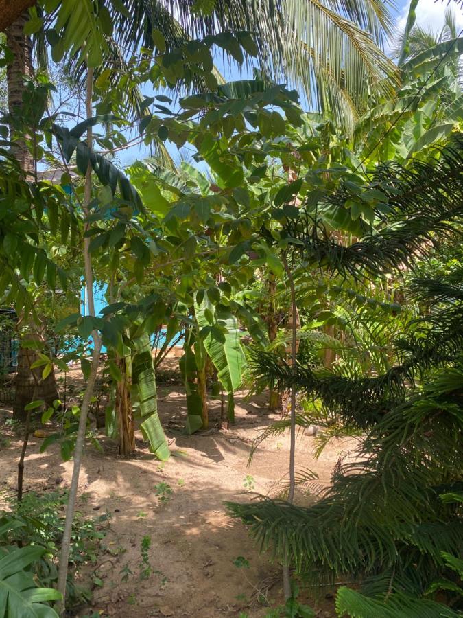 נילבלי Island Breeze Inn מראה חיצוני תמונה